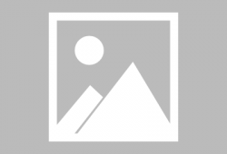 狗狗吃饭视频,捕捉萌宠用餐瞬间